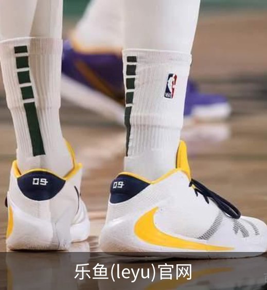 乐鱼(leyu)官网介绍