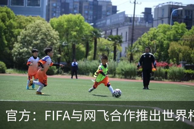 官方：FIFA与网飞合作推出世界杯游戏，6月11日上线